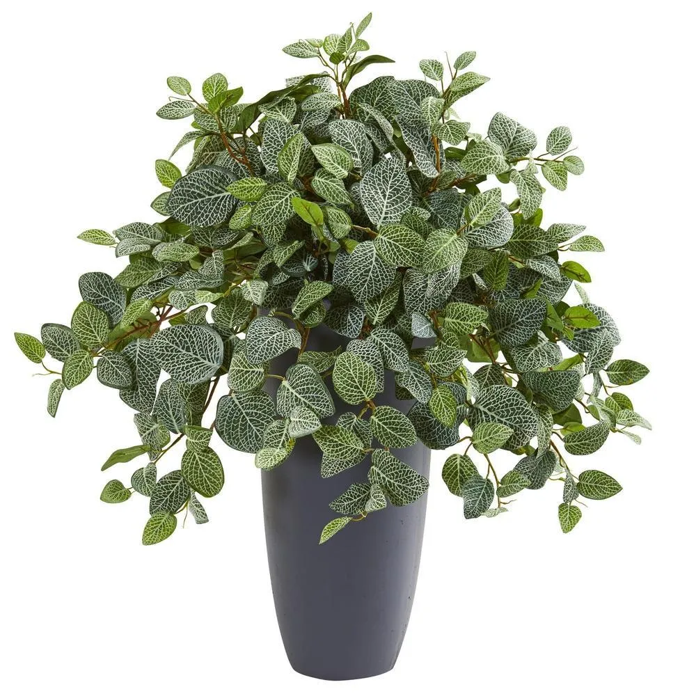 28"  Fittonia Artificial Plant in Gray Planter (Real Touch)