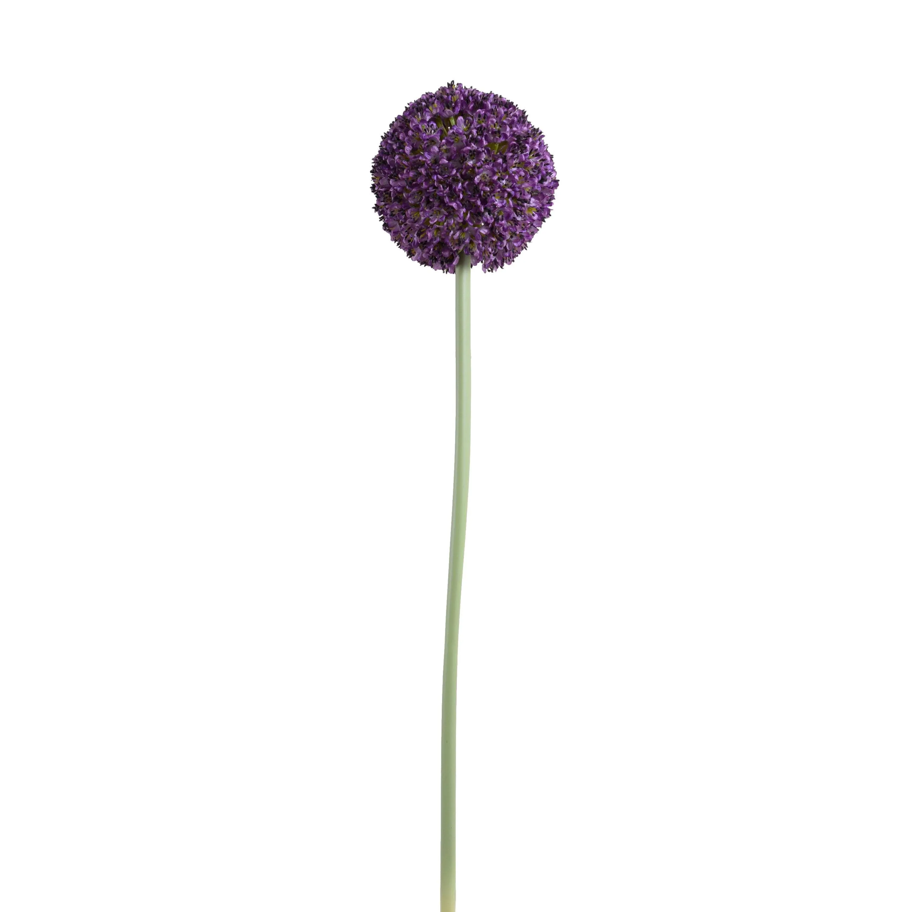 Allium Flower Stem 5.5"D