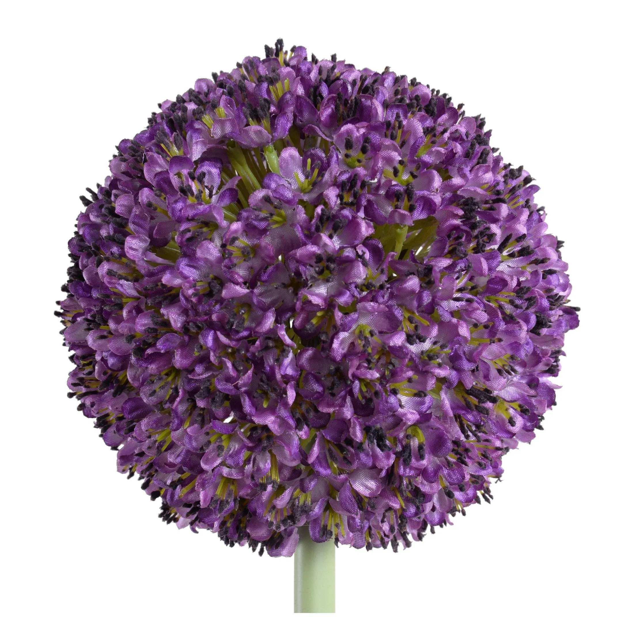 Allium Flower Stem 5.5"D