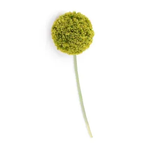 Allium Flower Stem 5.5"D