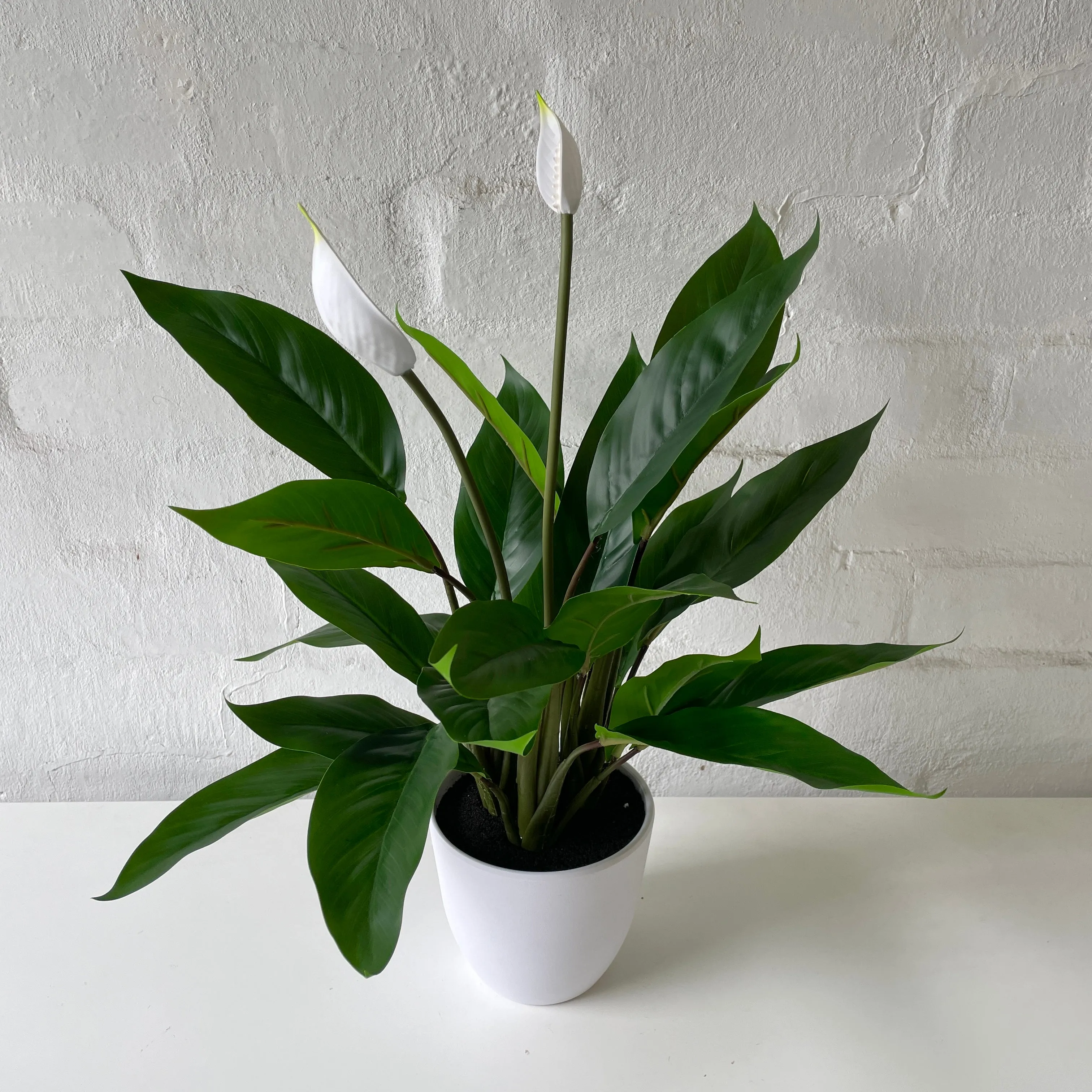 Artificial Peace Lily | Small