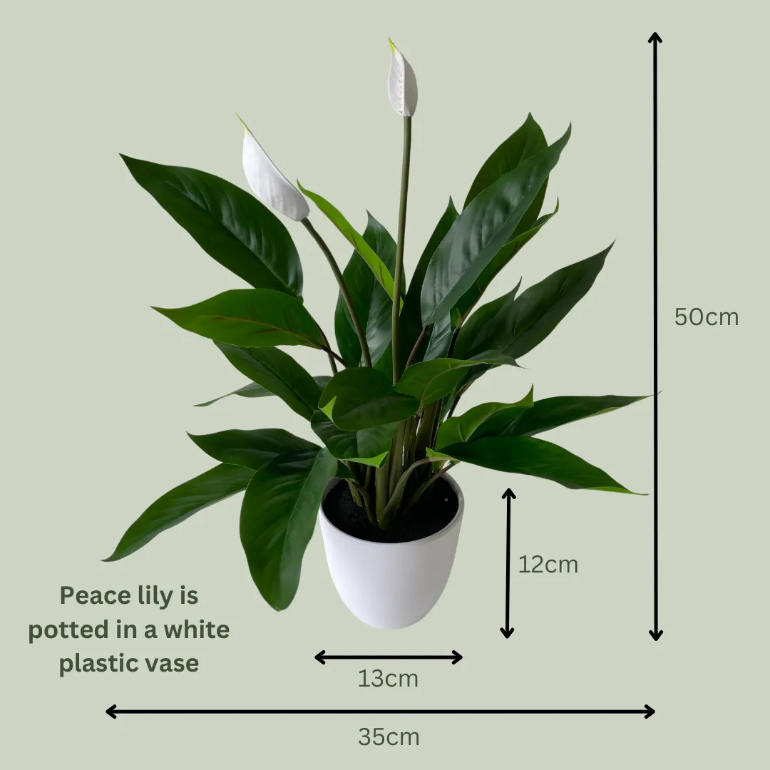 Artificial Peace Lily | Small