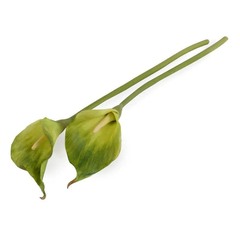 Calla Lily Stem, 22" L - Green