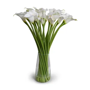 Calla Lily Stems in Glass 29"H