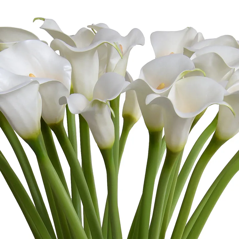 Calla Lily Stems in Glass 29"H