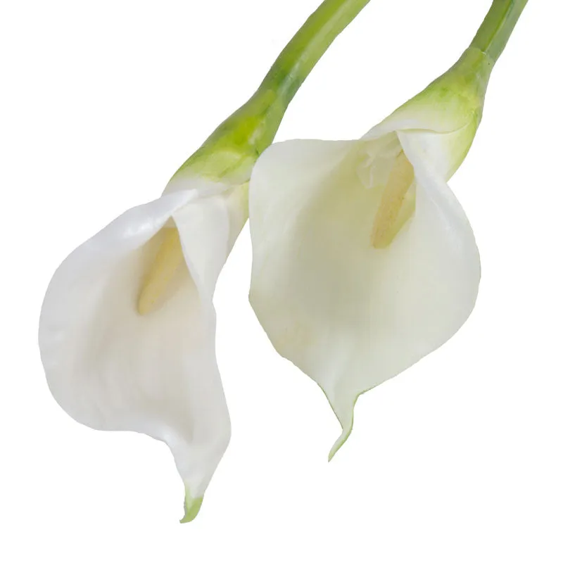 Calla Lily Stems in Glass 29"H