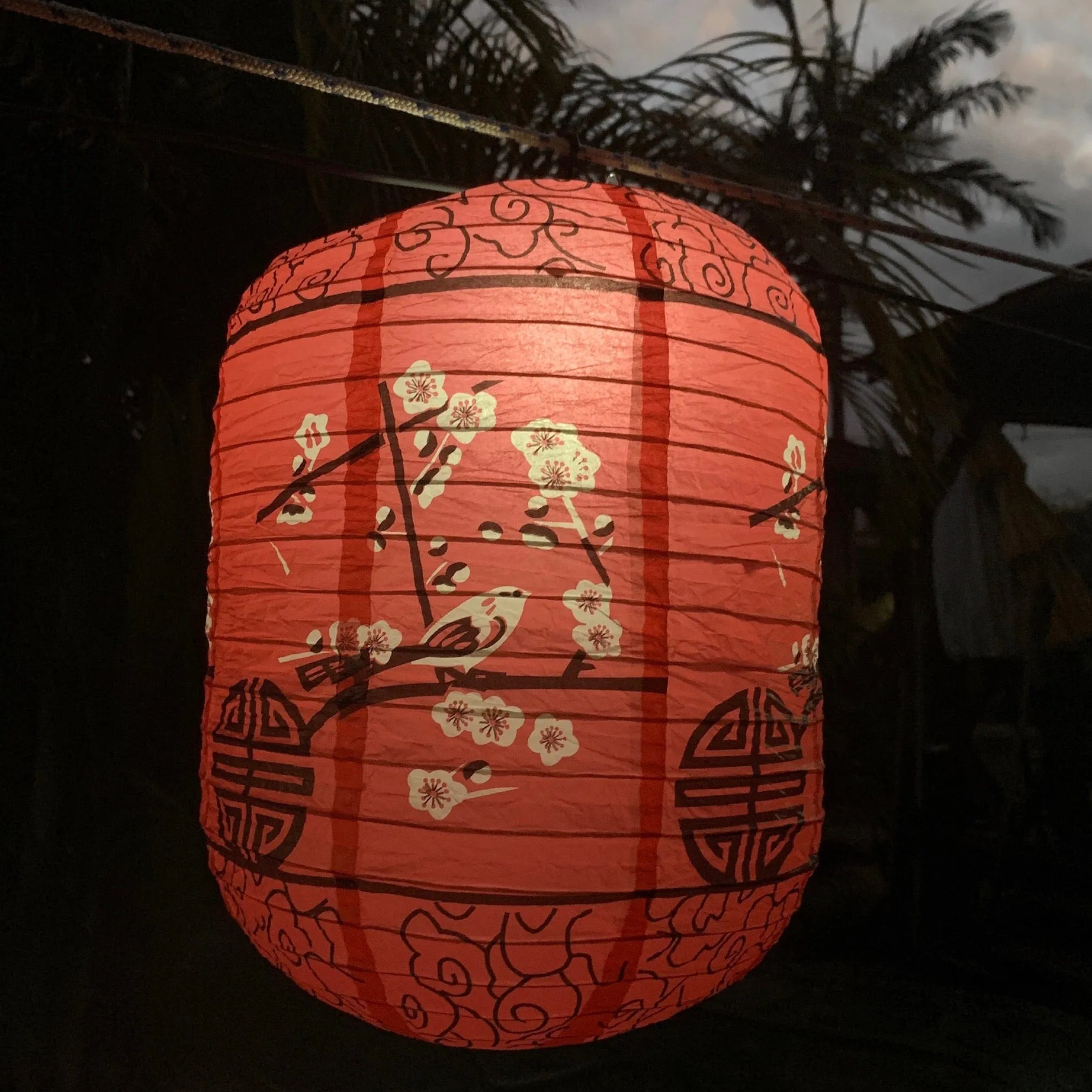 CLEARANCE SALE - Cherry blossoms and birds red paper lantern (cylinder 25 x 35cm)