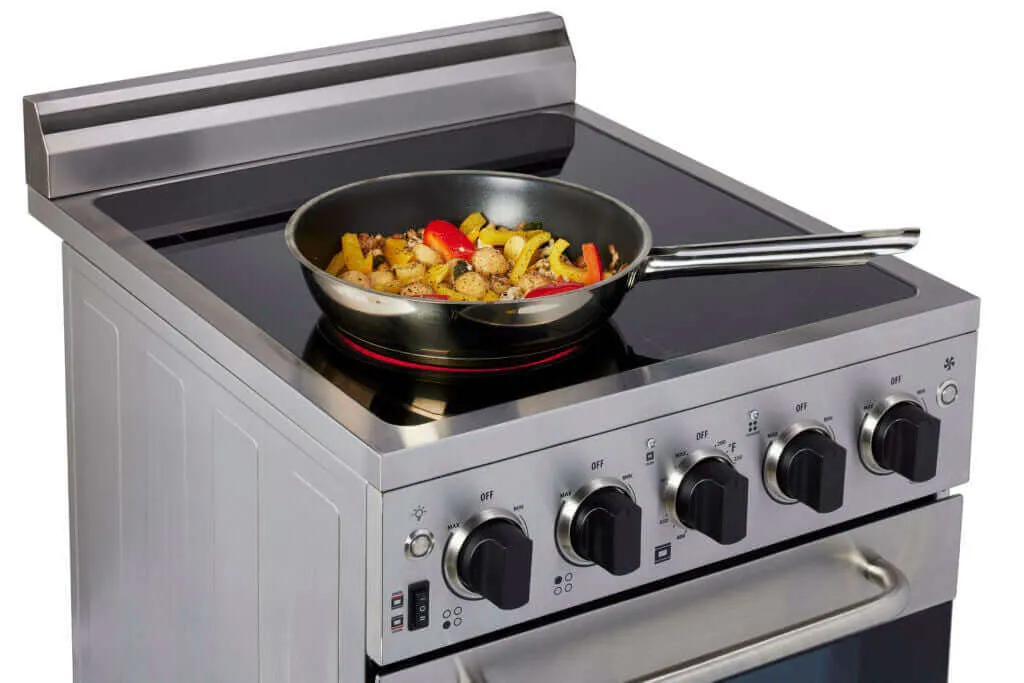 Unique Prestige 20" Stainless Convection Electric Range (SmoothTop)